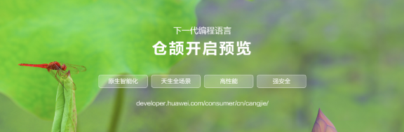 历经 5 年研发沉淀，华为下一代编程语言“仓颉”正式开启预览