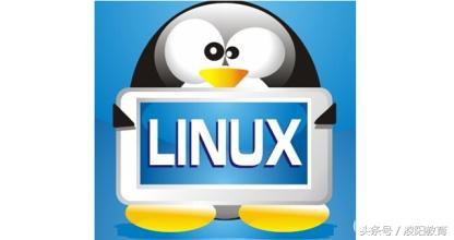 Linux operating system: a free, freely disseminated and stable multi-user network system