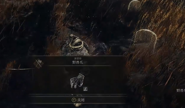 艾尔登法环黄金树幽影野兽爪在哪
