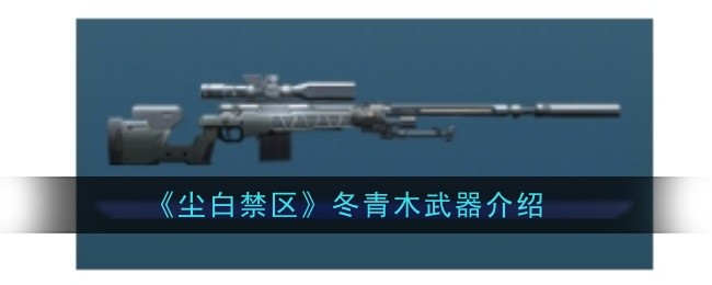 《尘白禁区》冬青木武器介绍