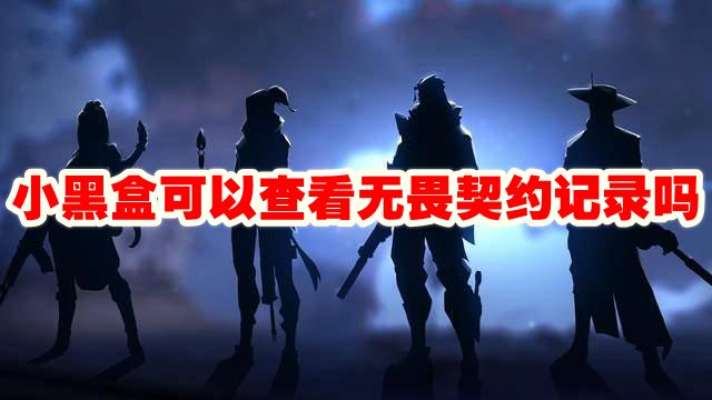 小黑盒可以查看无畏契约记录吗 小黑盒可以查看无畏契约数据吗