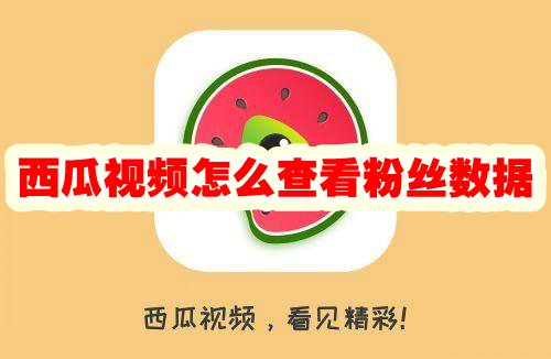 西瓜视频怎么查看粉丝数据 西瓜视频怎么查看粉丝等级