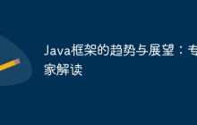 Java框架的趋势与展望：专家解读