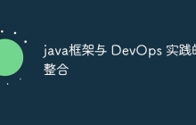 java框架与 DevOps 实践的整合