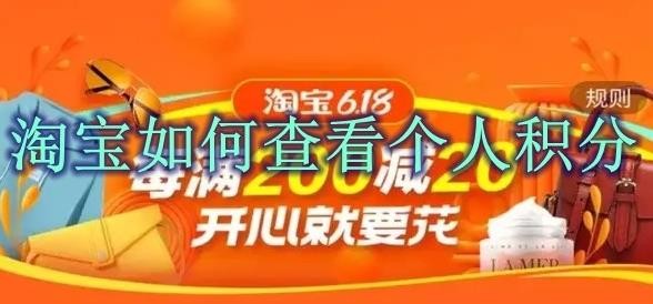 淘宝怎么查看个人积分 淘宝个人积分查看方法