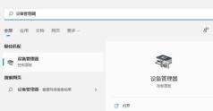 win11怎么更新显卡驱动程序？win11电脑显卡驱动更新的方法