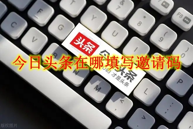今日头条在哪填写邀请码 今日头条邀请码填写方法