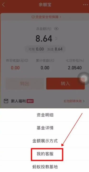 支付宝冻结余额怎么解除 支付宝余额冻结解除方法