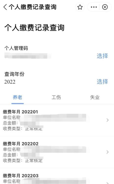 支付宝怎么查社保个人缴费情况 支付宝社保个人缴费情况查看方法