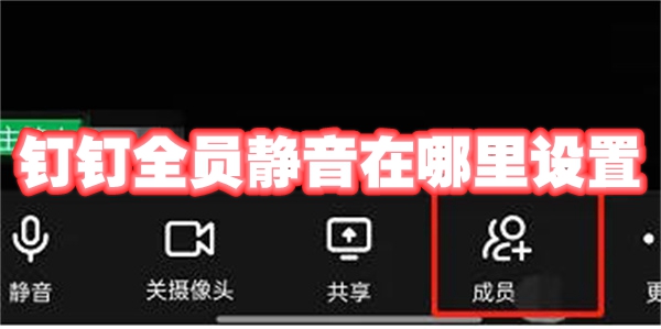 钉钉全员静音在哪里设置 钉钉全员静音怎么设置