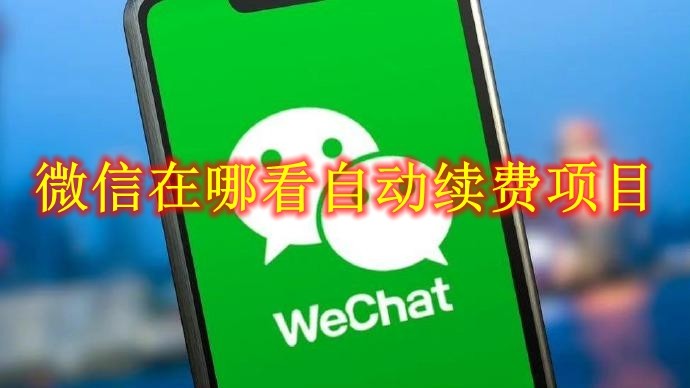 微信在哪看自动续费项目 微信查看自动续费项目方法