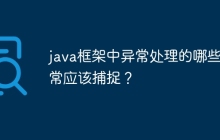 java框架中异常处理的哪些异常应该捕捉？
