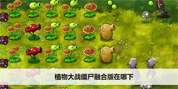《植物大战僵尸》融合版在哪下