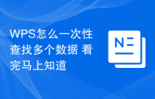 WPS怎么一次性查找多个数据 看完马上知道