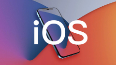 Apple iOS/iPadOS 17.3 RC リリース: 盗難デバイス保護と「フラワー オブ ユニティ」テーマを追加