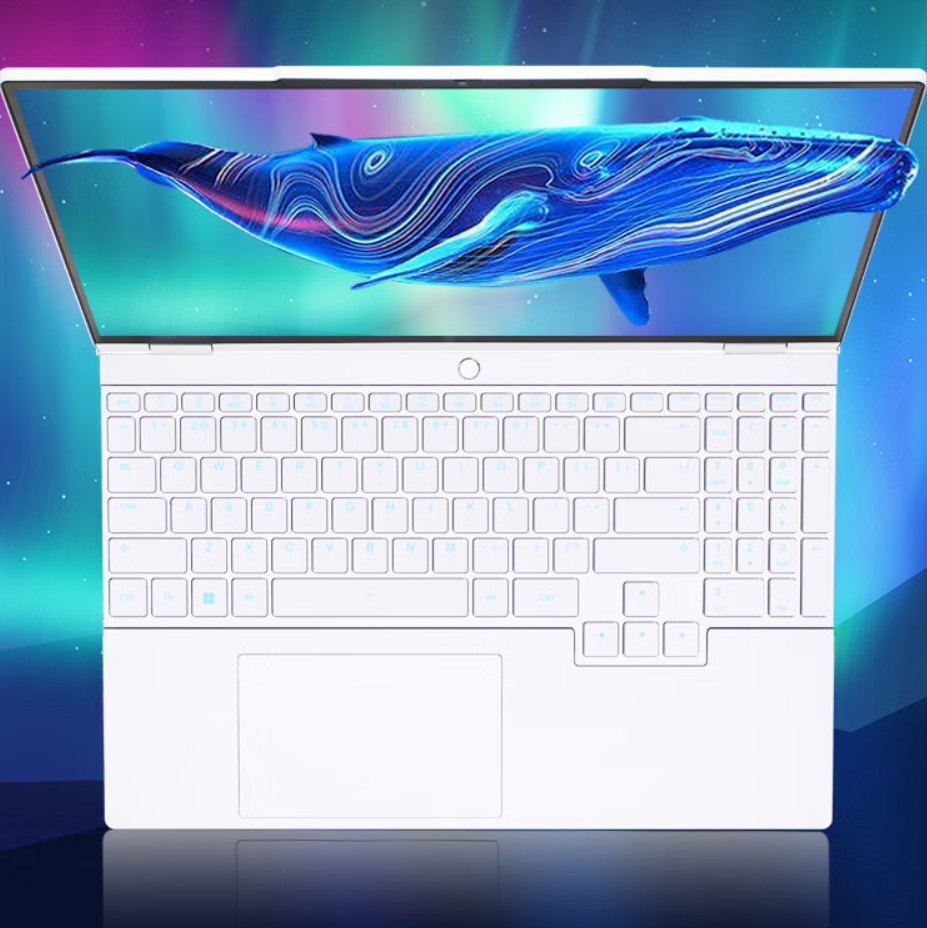 4799 元起，机械革命无界 15X 暴风雪 99Wh 大电池版笔记本发布