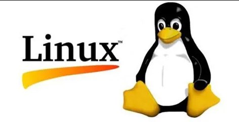Linux中权限列中的加号及点的深度解读