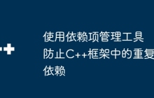 使用依赖项管理工具防止C++框架中的重复依赖