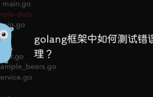 golang框架中如何测试错误处理？