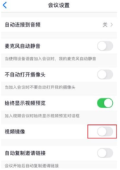 Zoom视频会议哪里打开视频镜像 Zoom视频会议打开视频镜像操作步骤