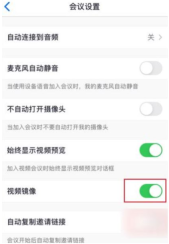 Zoom视频会议哪里打开视频镜像 Zoom视频会议打开视频镜像操作步骤
