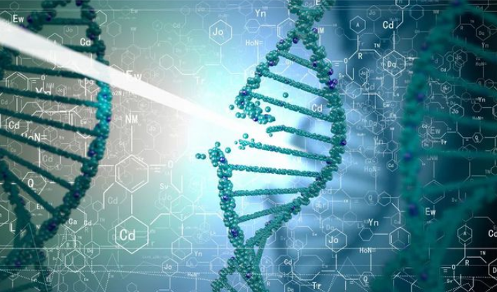 다중 오믹스 데이터를 통합한 BGI 팀의 그래프 신경망 모델 SpatialGlue가 Nature 하위 저널에 게재되었습니다.