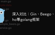 深入对比：Gin、Beego、Echo等golang框架