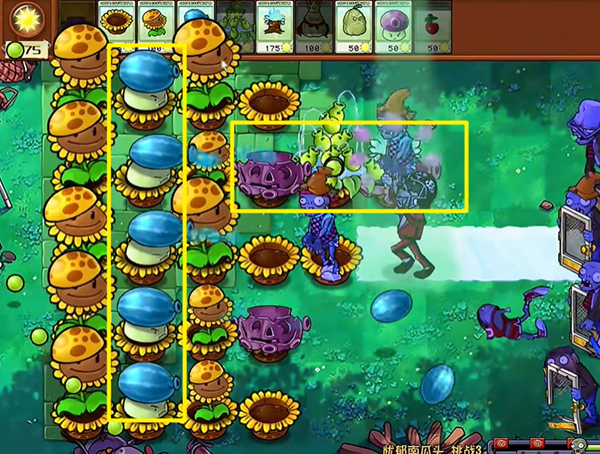 《植物大战僵尸杂交版》忧郁南瓜头3通关攻略