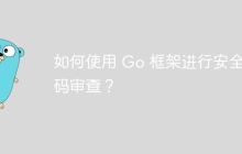 如何使用 Go 框架进行安全代码审查？