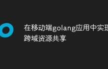 在移动端golang应用中实现跨域资源共享