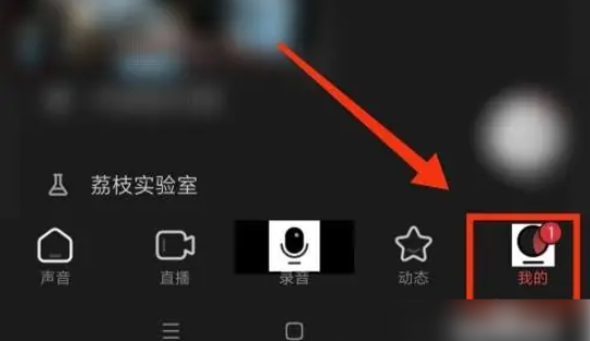 荔枝怎么看访客记录 荔枝看访客记录步骤分享