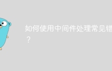 如何使用中间件处理常见错误？