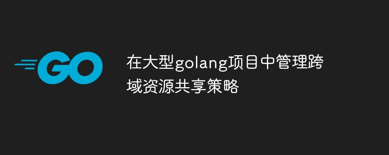 在大型golang项目中管理跨域资源共享策略