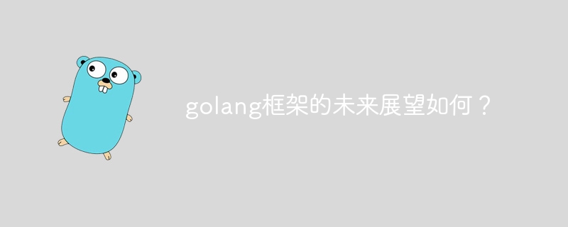 golang框架的未来展望如何？