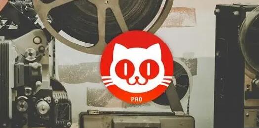 猫眼电影怎么解绑手机号 解绑手机号操作方法