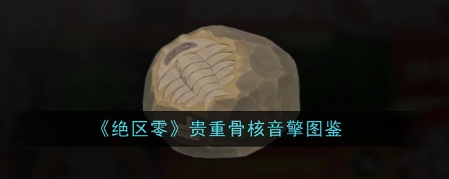 《绝区零》贵重骨核音擎图鉴