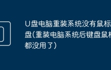 U盘电脑重装系统没有鼠标键盘(重装电脑系统后键盘鼠标都没用了)
