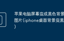 苹果电脑屏幕变成黑色背景图片(iphone桌面背景变黑色)
