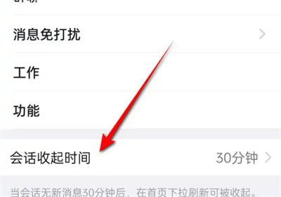 钉钉怎么设置会话收起时间 钉钉设置会话收起时间方法介绍