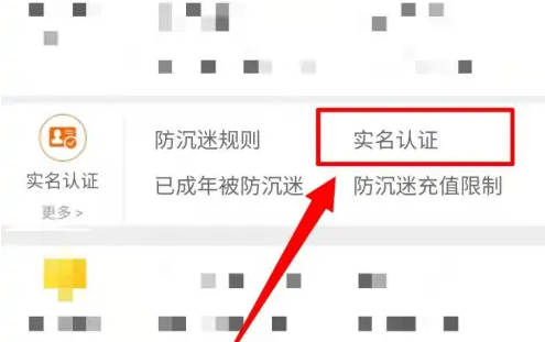 九游怎么查看实名认证 查看实名认证操作方法
