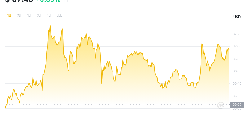 2024年07月09日OK币价格