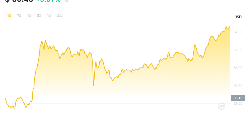 2024年07月09日比特币SV价格