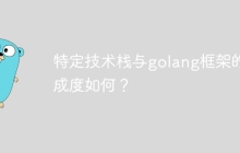 特定技术栈与golang框架的集成度如何？