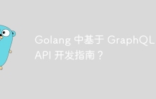 Golang 中基于 GraphQL 的 API 开发指南？