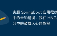 克服 SpringBoot 应用程序中的未知错误：我在 HNG 实习中的鼓舞人心的旅程