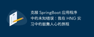 克服 SpringBoot 应用程序中的未知错误：我在 HNG 实习中的鼓舞人心的旅程