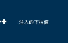 注入的下拉值