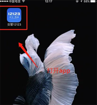 12123准驾车型在哪看 12123查看准驾车型教程介绍