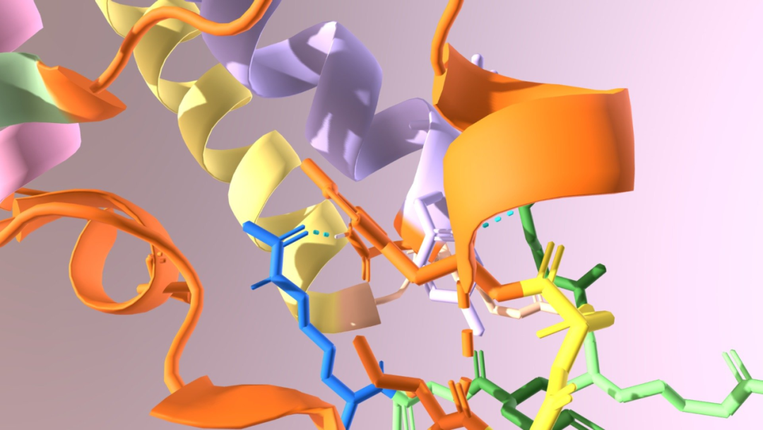 In nur wenigen Sekunden können Informationen zur Proteindynamik genau abgeleitet werden. Das KI-Modell RMSF-net der Shandong University, des Beijing Institute of Technology und anderer wurde in der Unterzeitschrift Nature veröffentlicht.