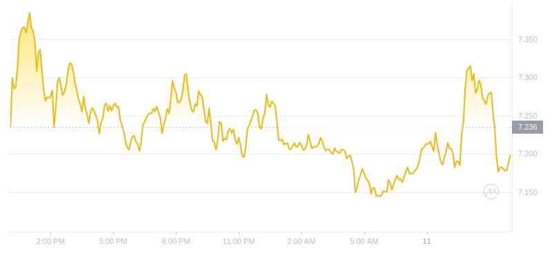 2024年07月11日INT币价格
